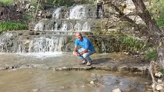 מפלי רז, והמאגר, נחל תנינים ומלאנת'לפים רקפות וכלניות. 24.01.2026 עם האחת שאיתי.
