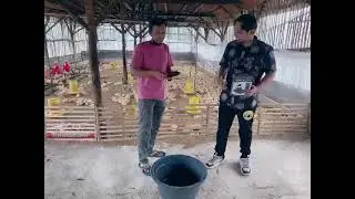 eco feed produk dr pt.best luaar biasa
