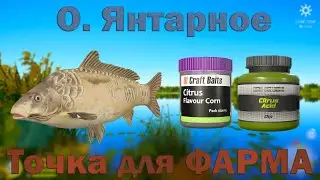 рр4 фарм на озере Янтарное Русская Рыбалка 4 RF4 carp fishing Russian fishing 4