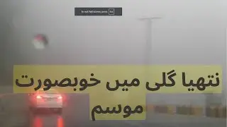 Nathiagali(Galyat) to Murree | Rain & Clouds | nathia gali weather #nathiagali #clouds #nature