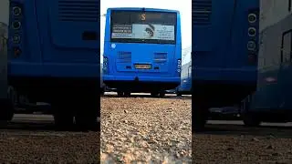 work driver city bus/full video in channel