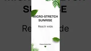 Micro-Stretch Sunrise (Reach Wide &bull; Open Chest) #shorts