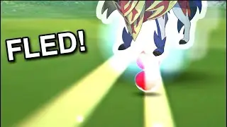 Hero of many battles pokemon Run away from first Raid!
