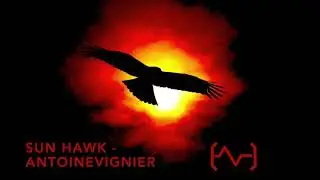 Sun Hawk - AntoineVignier