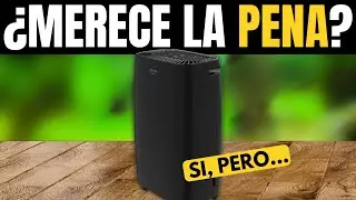 DESHUMIDIFICADOR CECOTEC BIG DRY 4000: &iquest;MERECE LA PENA? (B08156WPJS)