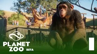 THERE'S REALLY CUTE ANIMALS, SO WATCH THIS!  |  Planet Zoo: Beta Gameplay  |  0
