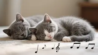 Tranquil Kitty Piano 🐱🎵 | Instrumental Calmness for Any Mood