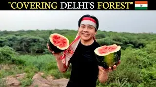 I spent the whole day inside the Delhi forest 😱