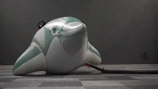 Phinflation