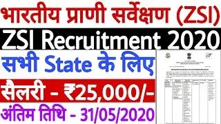 Zoological Survey of India Recruitment 2020 | ZSI Recruitment 2020 Apply Online - All India Jobs