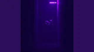 C&oacute;digo Negro