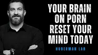 Rewire Your Brain from Porn Addiction  Dr  Huberman & Ryan Soave Reveal the Path to Recovery