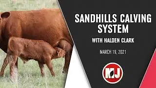 Sandhills Calving System | Halden Clark | March 19, 2021