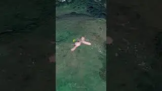 Giant Bunny on Google Earth