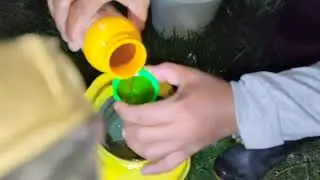 Spraying Gold Nimbecidine During Night Time