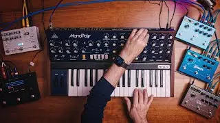 Ambient MonoPoly Set // Aeros Loop Studio, Microcosm, Strymon Pedals
