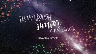 Breakthrough Junior Challenge 2020 l The Brout-Englert-Higgs Mechanism