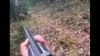 Real Life Ark: Player 1 vs Dire Bear