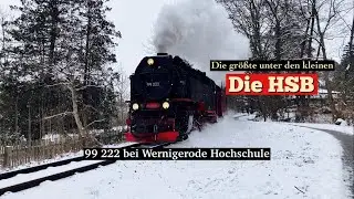 Die HSB | 99 222 bei Wernigerode Hochschule