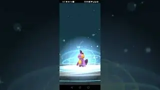 Evolution of Shiny Mudkip