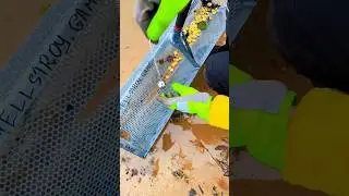 Beach Cleanup Surprise: Rings, Coins & Shocking Finds!