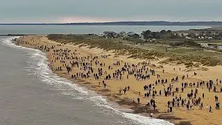 Southwold Sausage Dog Walk 2025 🐾 | Dachshund Walk on the Suffolk Coast | Cute Sausage Dogs UK