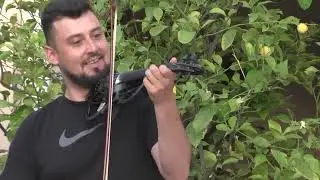 Ciprian Todea - Live Bihor !