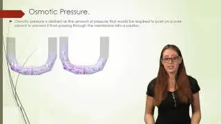 Osmotic Pressure