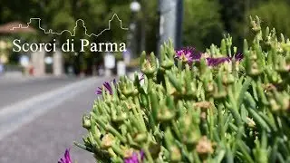 Scorci di Parma - Parco Ducale