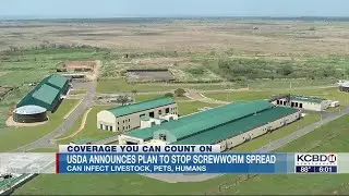 USDA announces initiative to make sure New World Screwworms do not spread to the United States
