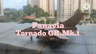 #41 Panavia Tornado GR.Mk.1 (1/72 Hobby Master) RAF [145]