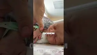 Мама наладила дневной сон малышу