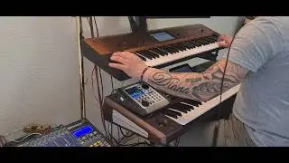 Damjan Milenkovic / IMAM JEDNU ZELJU + IMPROVIZACIJA / Korg Pa1000 / Korg Krome / Juzisound 2