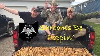 Mushroom Hunting | Big Ohio Morels