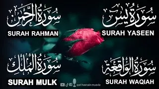 Surah Yasin ❤️ (Makki), Rahman, Waqiah & Mulk | Ep 320 | Daily Quran Recitation & Blessings