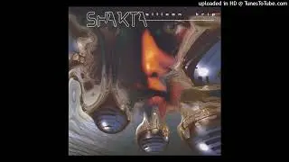 08 Shakta - Inner Polarity