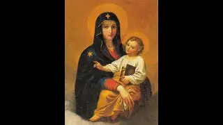 12/24/2025 - Christmas - Midnight Mass