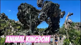 Florida ‘25 - Day 9 Animal Kingdom