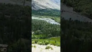 Ghizer beauty