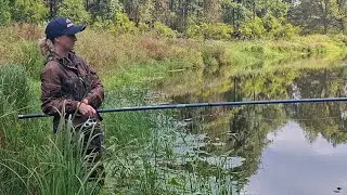 Fishing on a forest river! There are just TONS of fish!