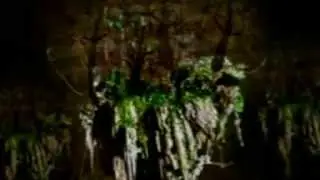 Nirmanakayas  -   X - Aler
