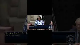 Senator Baskin Honors Two Creative Lives Lost to Violence