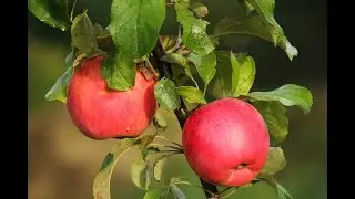 A DAILY DOSE OF SANITY: Trusting Divine Timing