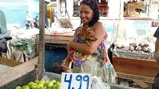 Feira de frutas e verduras com preço baixo em cavaleiro 