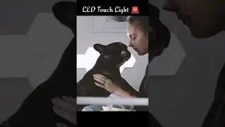 Led Touch Light #shorts #yputubeshorts  #youtubeshorts #led #lamp  #hacker#insight