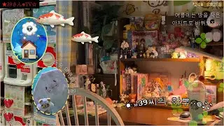 𝐎𝐭𝐚𝐤𝐮 𝐯𝐥𝐨𝐠 여름에는 방을 작은 아지트로 바꿔보자..| 동물의 숲 아쿠아리움 ✸ 가챠깡 ✸ 방 꾸미기 ✸ diy ✸ 가지 요리 ✸ 책상셋업 ✸ 왓츠인마이백 ✸수원 스타필드