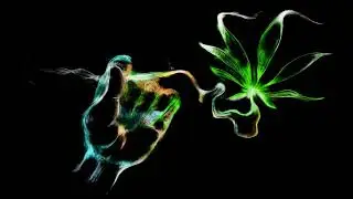 hightide- weed cake edition