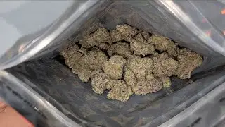 LIT FARMS SUPER RUNTZ REVIEW! 🚀🍬 THCa FLOWER GOES CRAZY! 🤯🔥💎