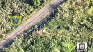 Putin left his troops dead on the road but Ukrainian forces put them in body bags as more dignified.