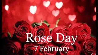 Happy Rose Day Status Video 2022 | Rose Day Whatsapp Full Screen Status Video